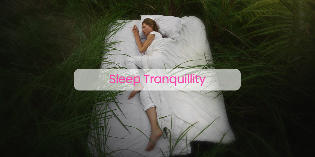 Sleep Tranquillity: Embark on a Journey to Better Sleep with Memory Foam Warehouse